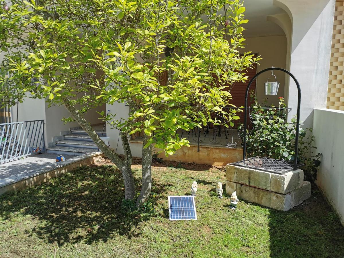 Magnolia Bed and Breakfast Alezio Buitenkant foto