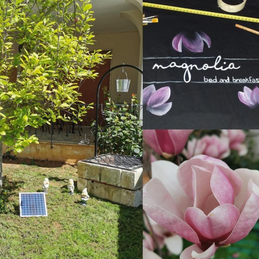 Magnolia Bed and Breakfast Alezio Buitenkant foto